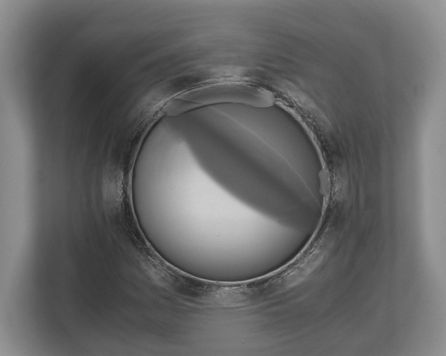 X0000110321161200905281627