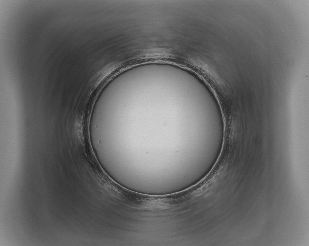 X0000110321162200905281627