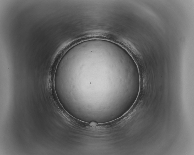 X0000110321164200905281627