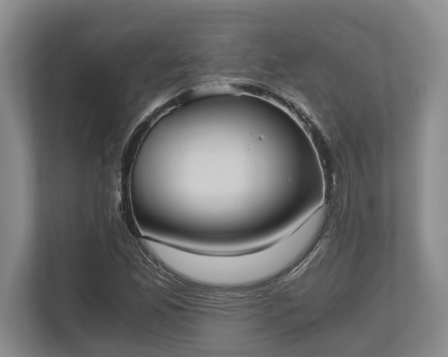 X0000110321165200905281627