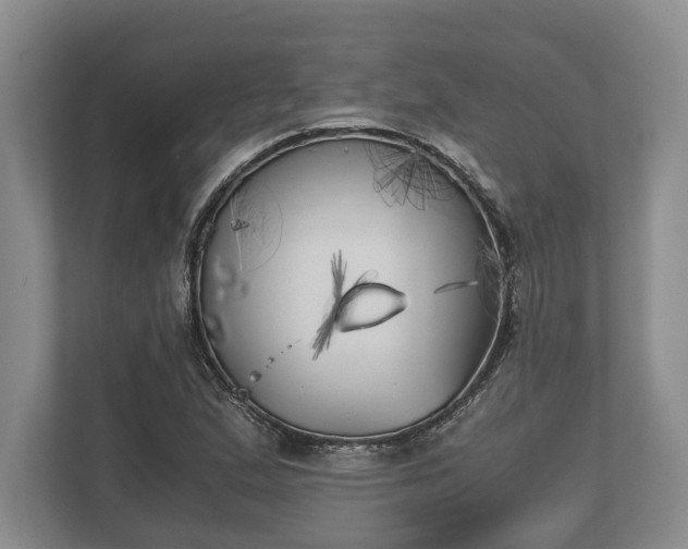 X0000110321167200905281627