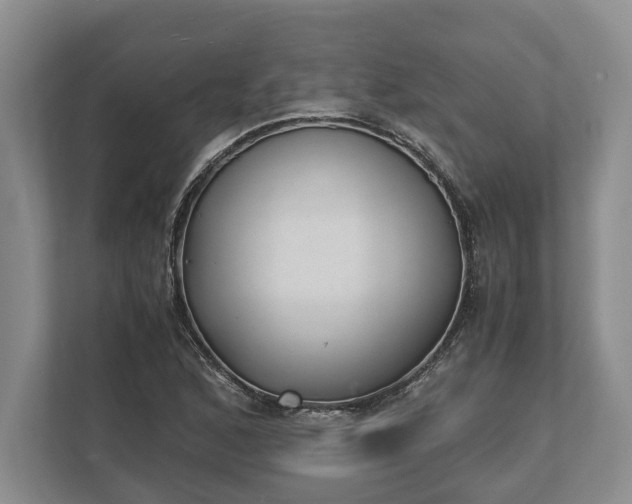 X0000110321168200905281627