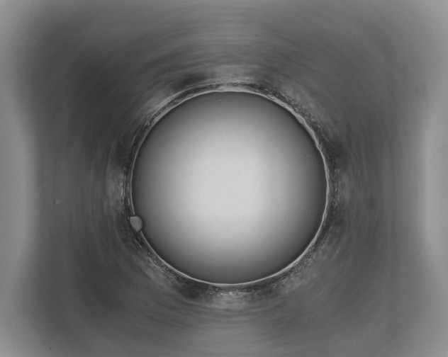 X0000110321169200905281627