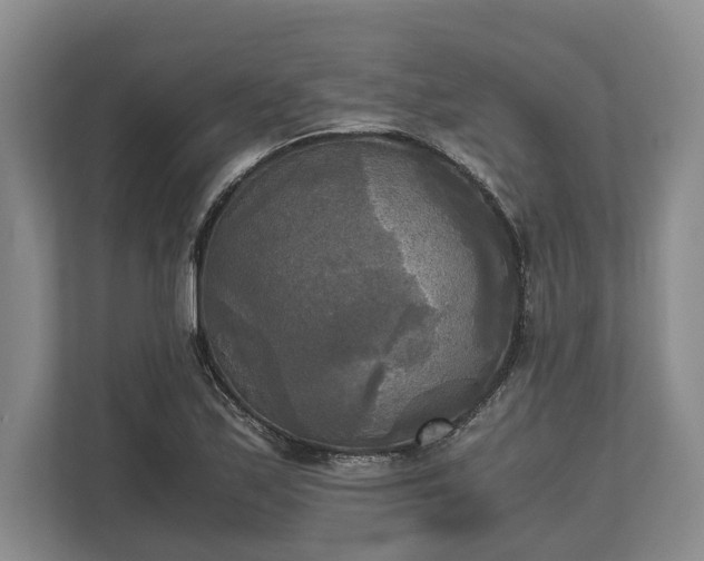 X0000110321171200905281627