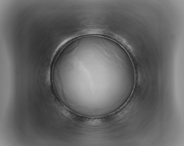 X0000110321174200905281626