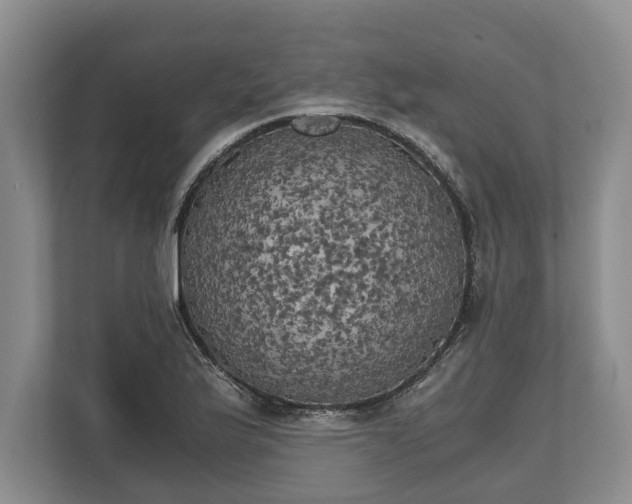 X0000110321175200905281626