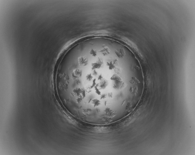 X0000110321176200905281626