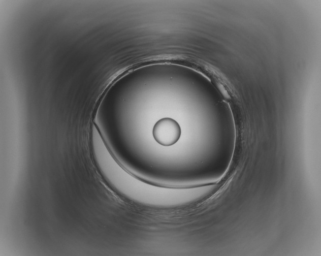 X0000110321177200905281626