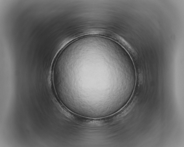 X0000110321178200905281626