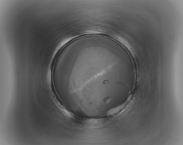 X0000110321179200905281626