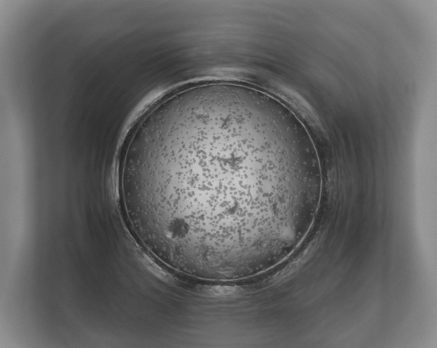 X0000110321180200905281626