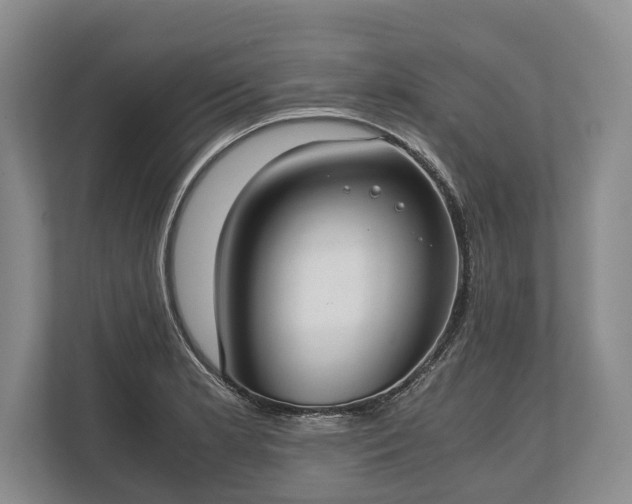 X0000110321181200905281626