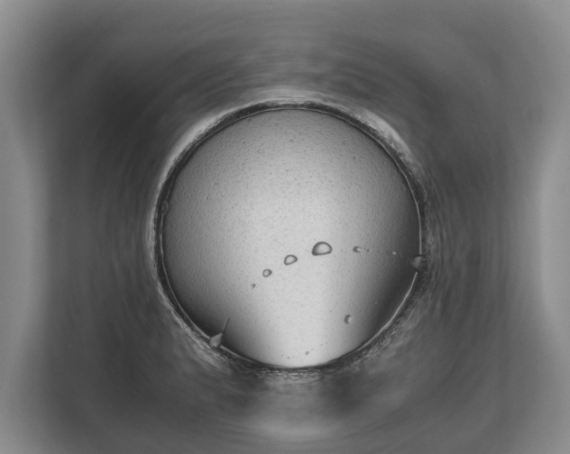 X0000110321183200905281626