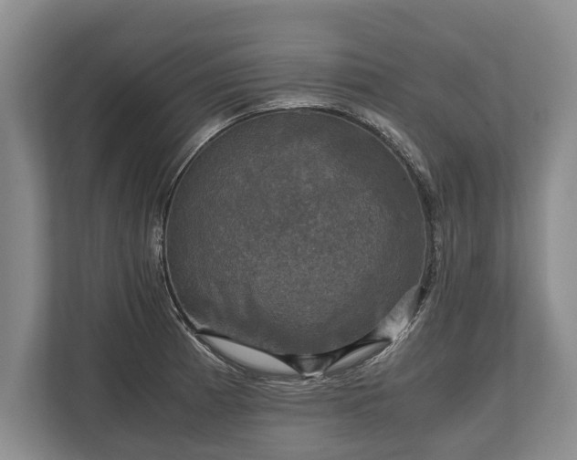 X0000110321185200905281626