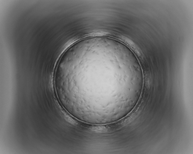 X0000110321186200905281626