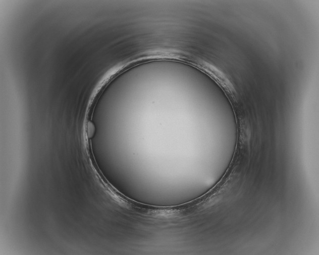 X0000110321188200905281626