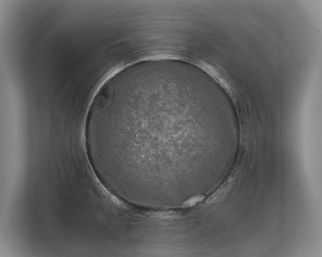 X0000110321189200905281626