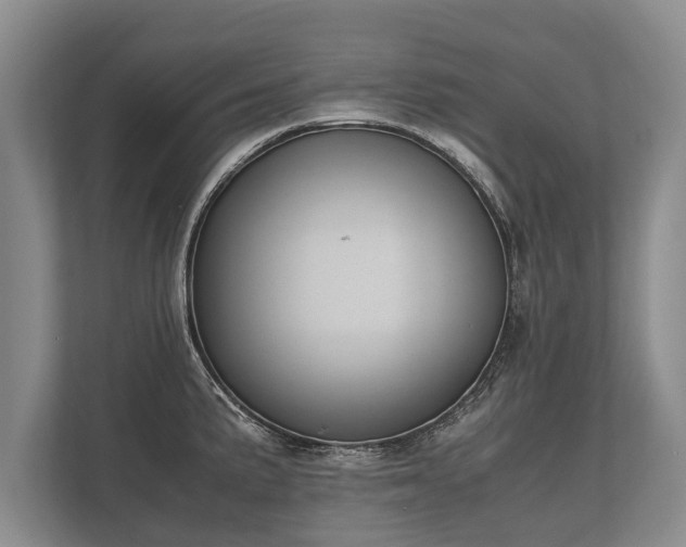 X0000110321191200905281626