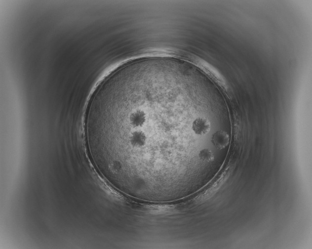 X0000110321192200905281626