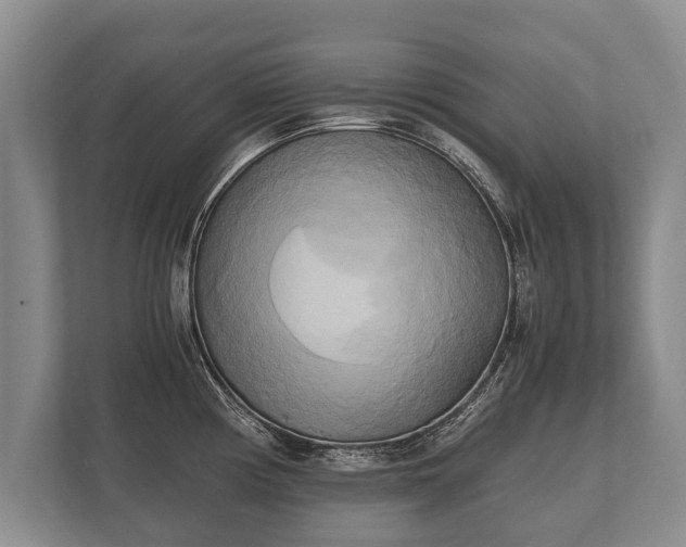 X0000110321194200905281626