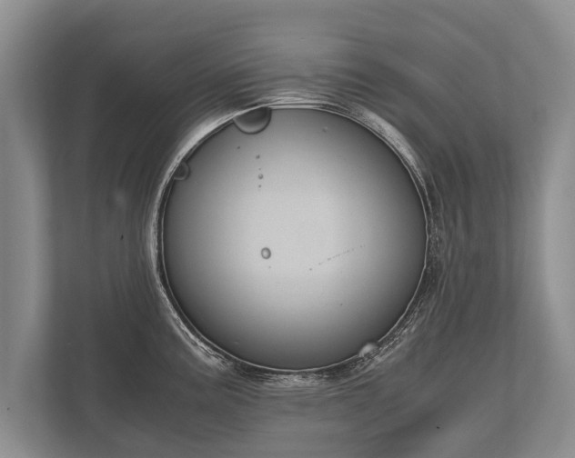 X0000110321195200905281626