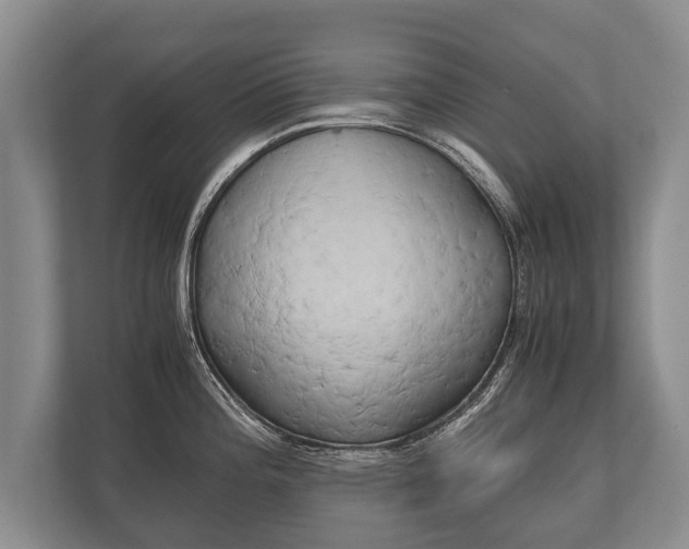 X0000110321196200905281626