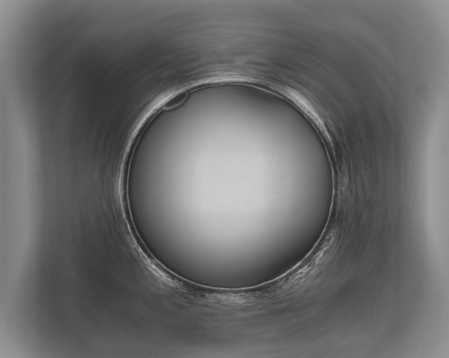 X0000110321197200905281626