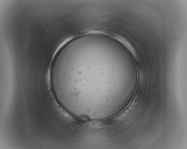 X0000110321198200905281626