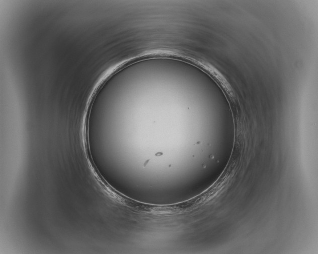 X0000110321199200905281626