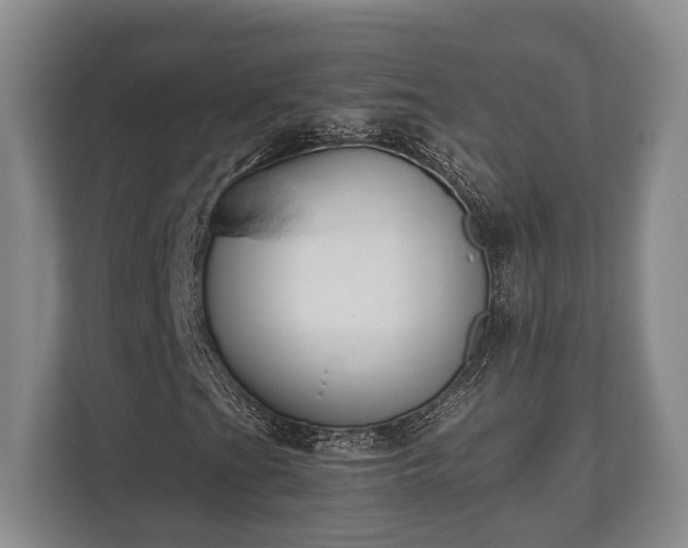 X0000110321201200905281626