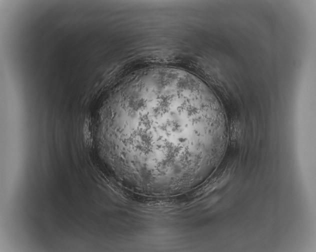 X0000110321202200905281626