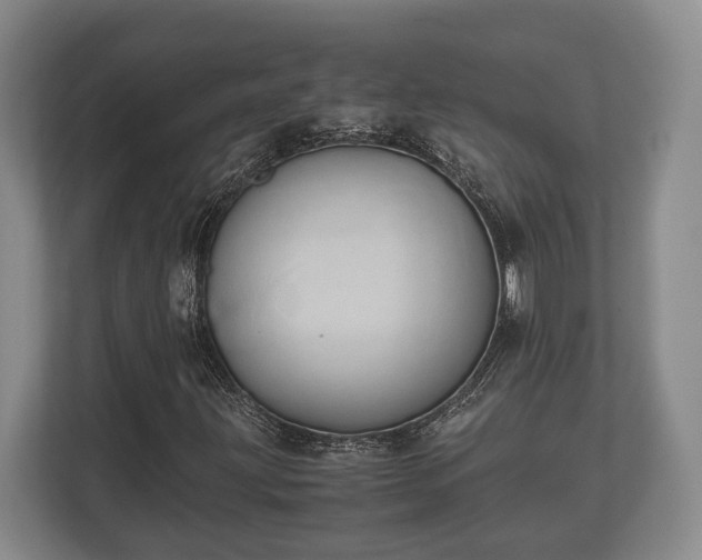 X0000110321203200905281626