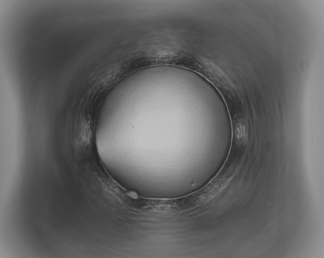 X0000110321204200905281626