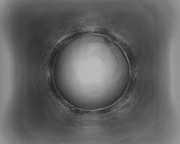 X0000110321206200905281626