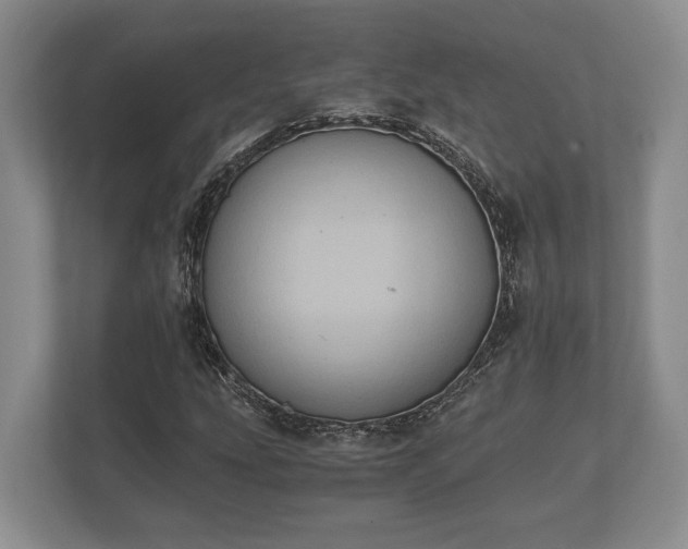 X0000110321207200905281626