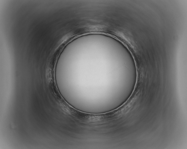 X0000110321211200905281626