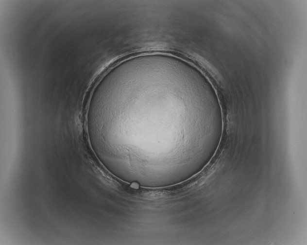 X0000110321212200905281626