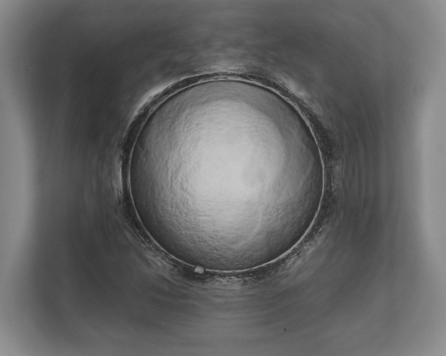 X0000110321214200905281626