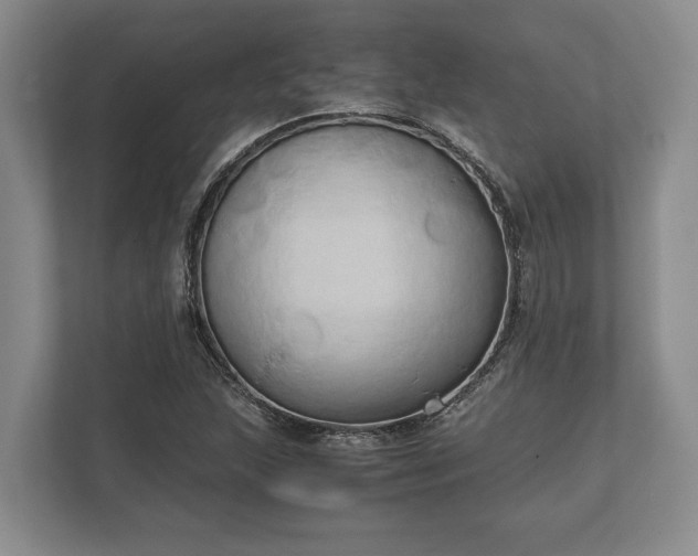 X0000110321215200905281626