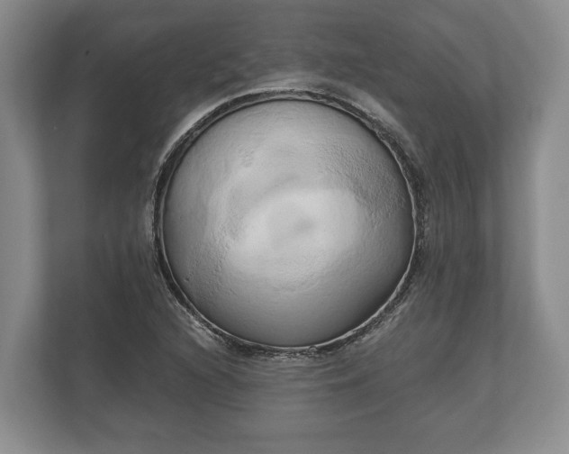 X0000110321216200905281626