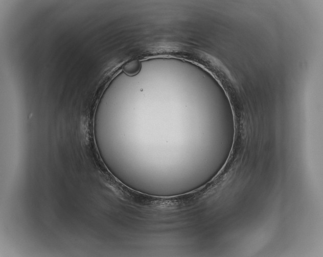 X0000110321217200905281626