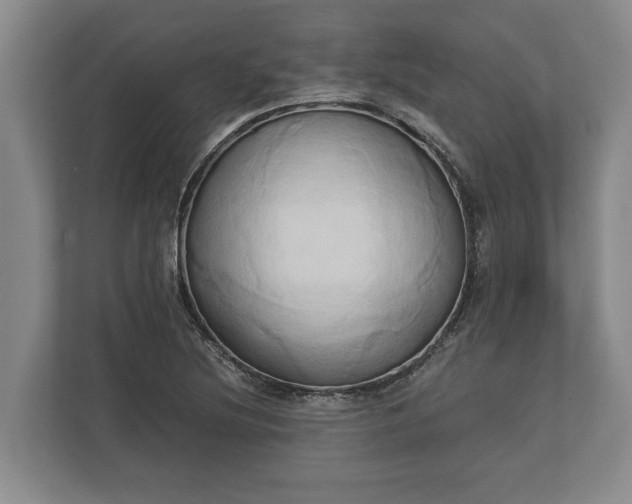 X0000110321220200905281626