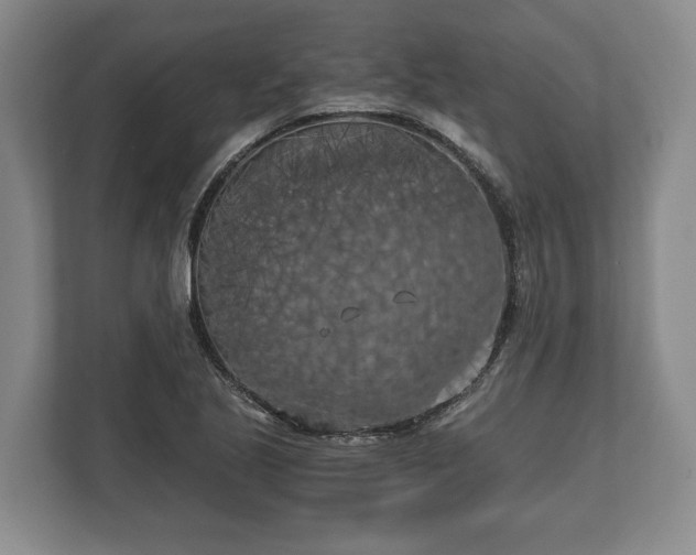 X0000110321221200905281626