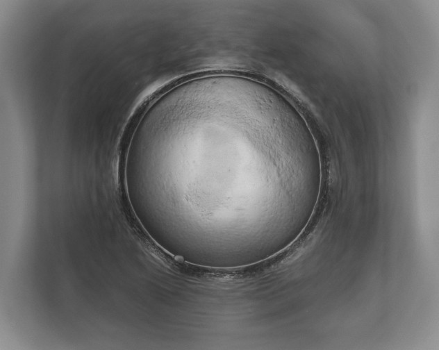 X0000110321222200905281626