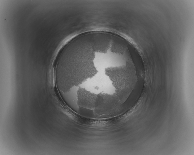 X0000110321223200905281626