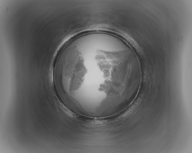 X0000110321224200905281626