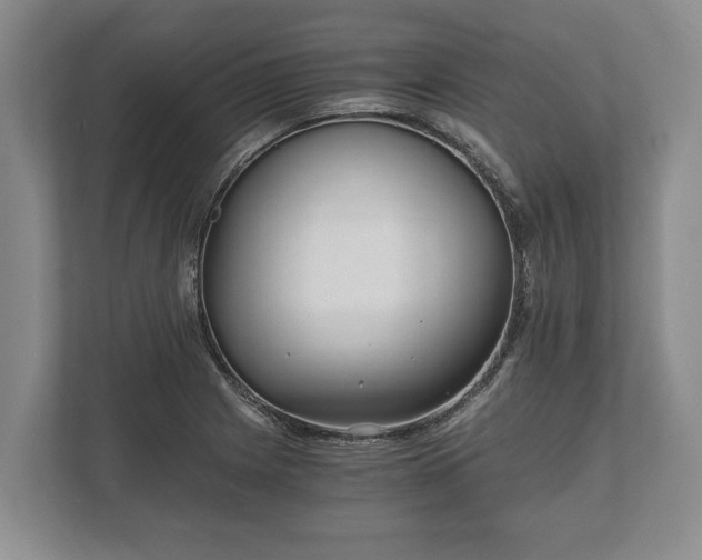 X0000110321225200905281626