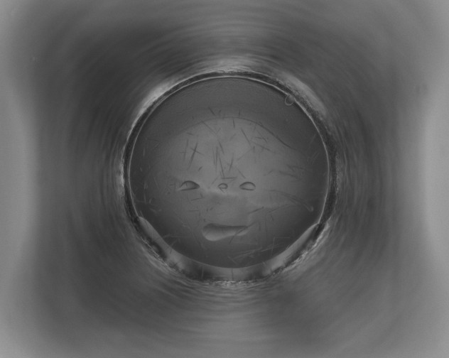 X0000110321226200905281626