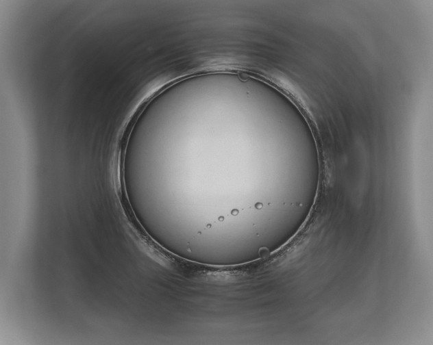 X0000110321227200905281626