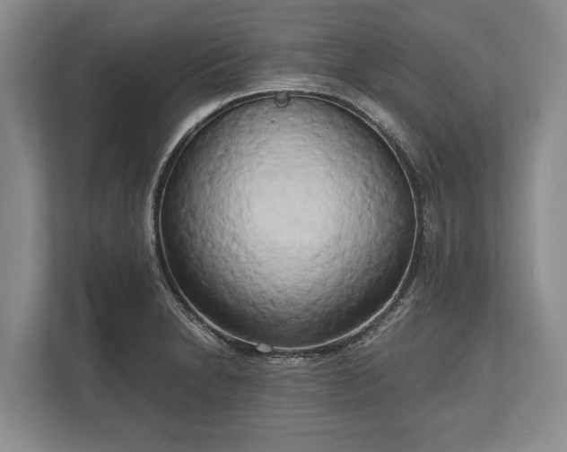 X0000110321230200905281626